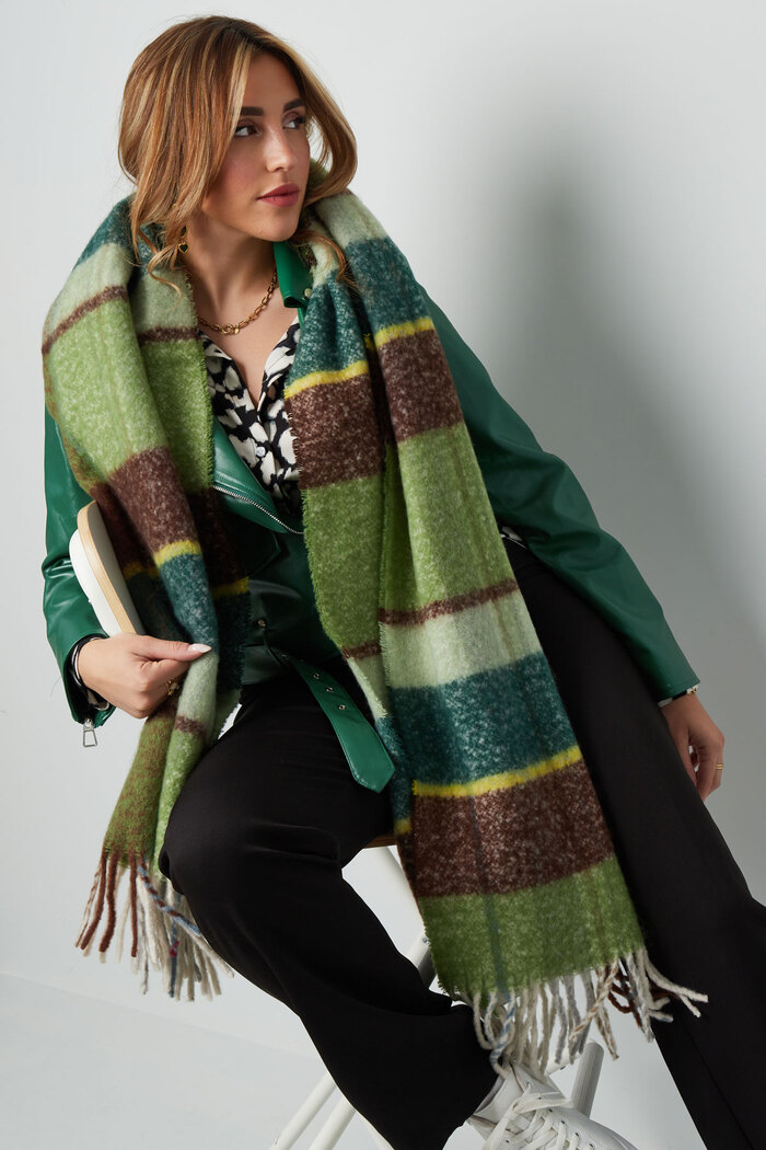Sjaal gekleurde vlakken - groen Afbeelding6